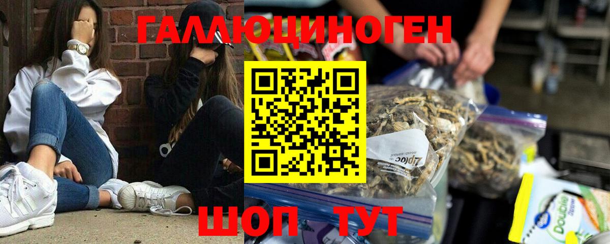Псилоцибиновые грибы Magic Shrooms Тихвин